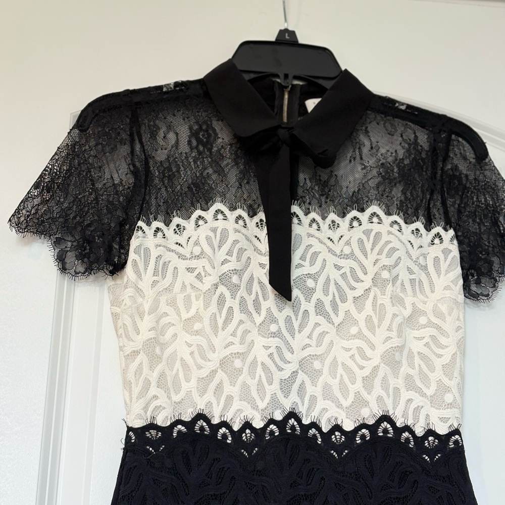 Sandro Guipure Dress - Picture 6 of 14